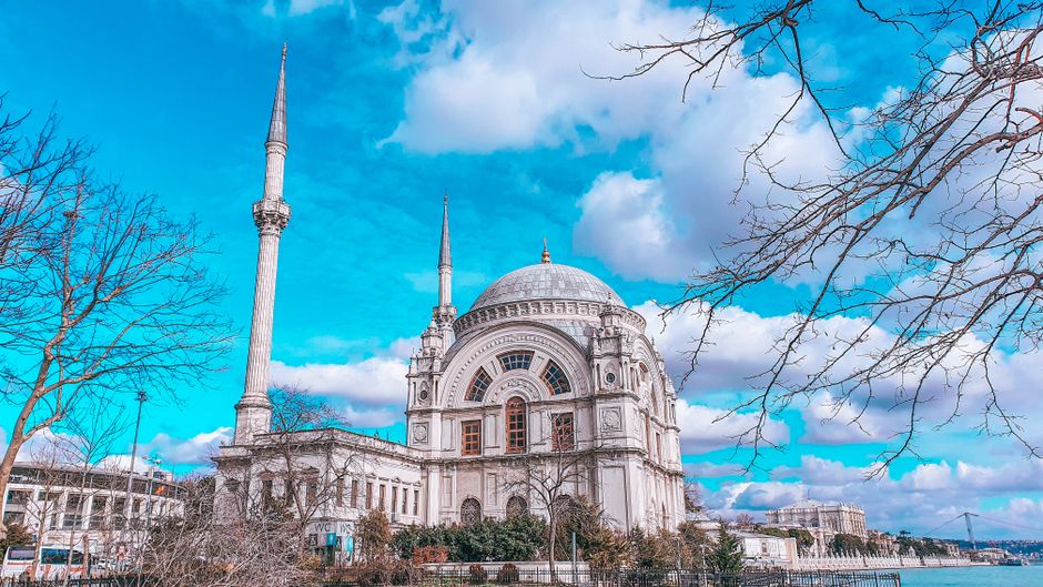 Staying Ahead of Disease: The Daily Habits That Keep Istanbul's Health-Conscious Residents Screened and Strong