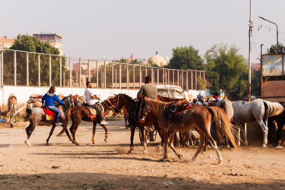 Cairo's Endurance Sport Infrastructure: Building the Foundation for a Running and Cycling Revolution