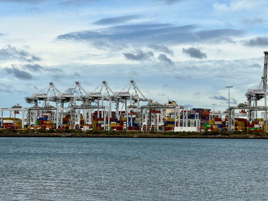 Australia's Meat Industry Caught Between Global Supply Chain Tensions