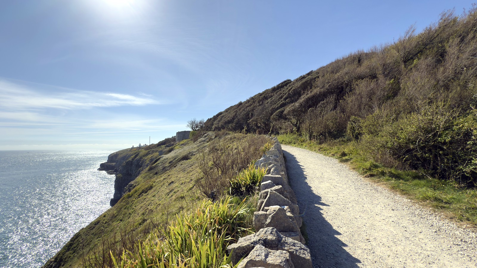 Central Coast Walking Trails: 12 Best Routes Ranked by Distance, Difficulty