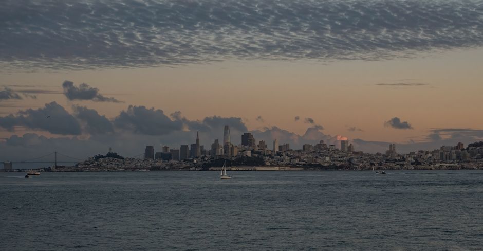 The Five-Minute Fix: How San Francisco's Busiest Professionals Are Managing Stress Through Simple Daily Habits