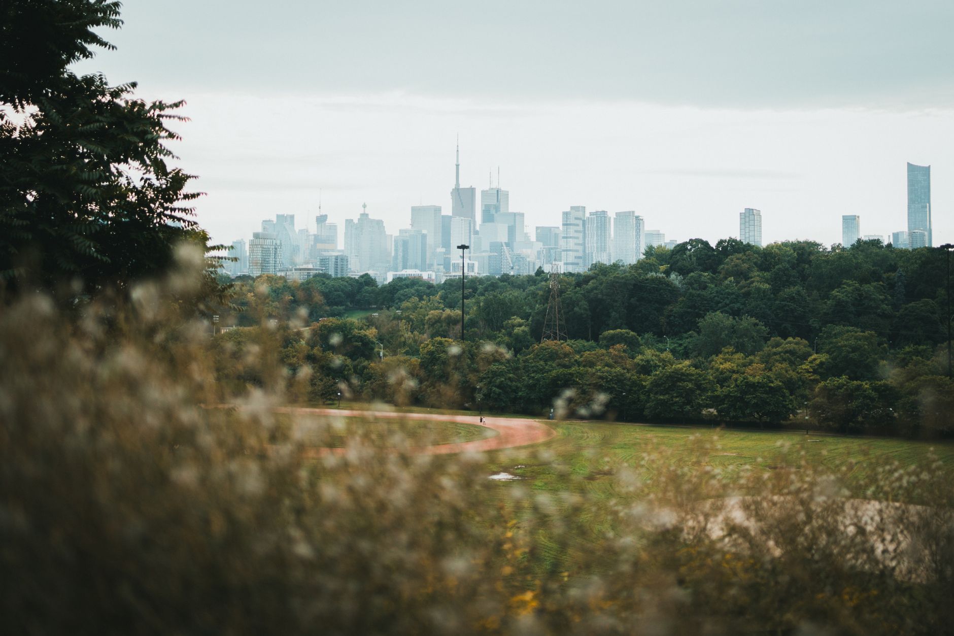 Toronto Locals Reveal 5 Hidden Nature Walks Tourists Never Find