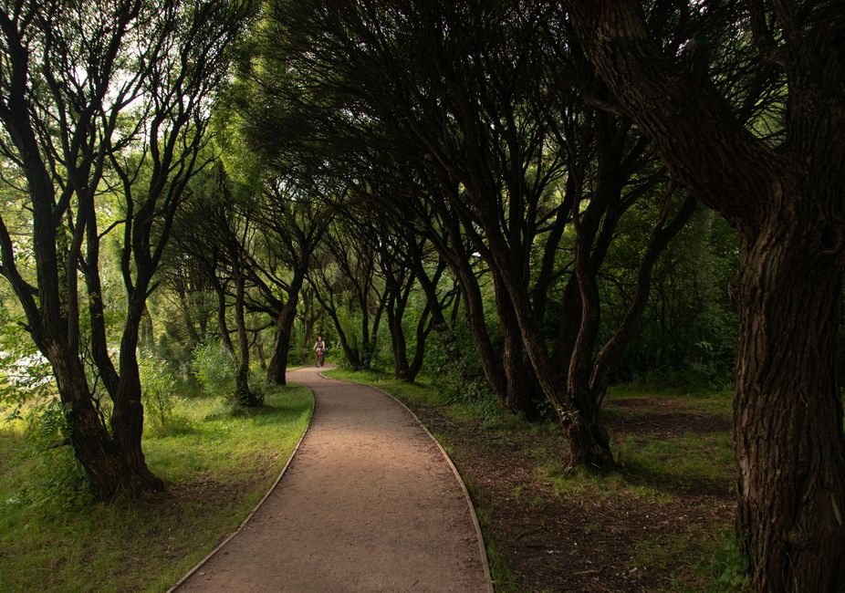 Parkrun Moscow: 15 Free Running Spots