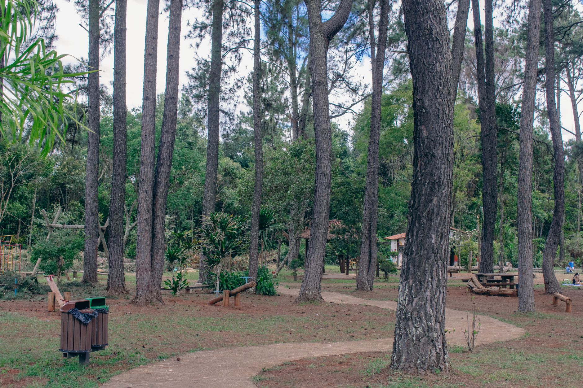 Yoga Styles Explained: Which One Suits Your Lifestyle in Nairobi