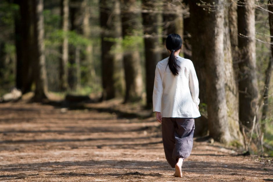 Walking Meditation Melbourne: Guide to Mindful Walking