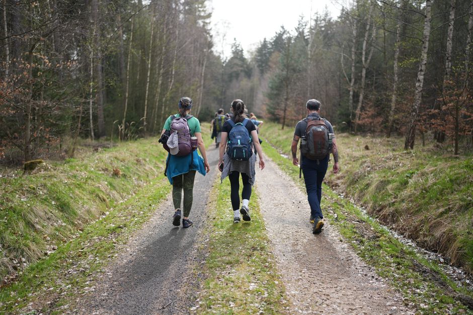 How to Start a Walking Group in Your Neighbourhood