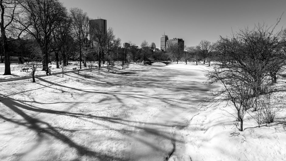 Boston's Parks Are Free—But Here's Everything Else You Need to Know Before You Go