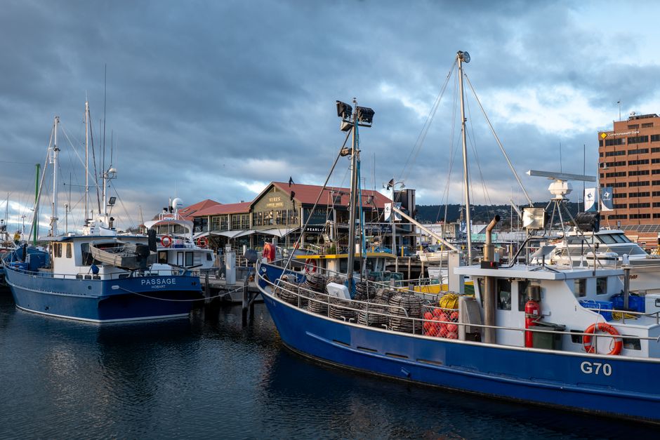 From Morning Commute to Morning Coffee: How Remote Work Tech Is Reshaping Daily Life for Tasmanians