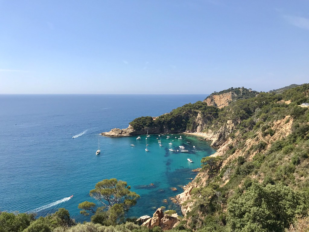 Free Things to Do in Barcelona This Summer: Your Guide to Cost-Free City Experiences