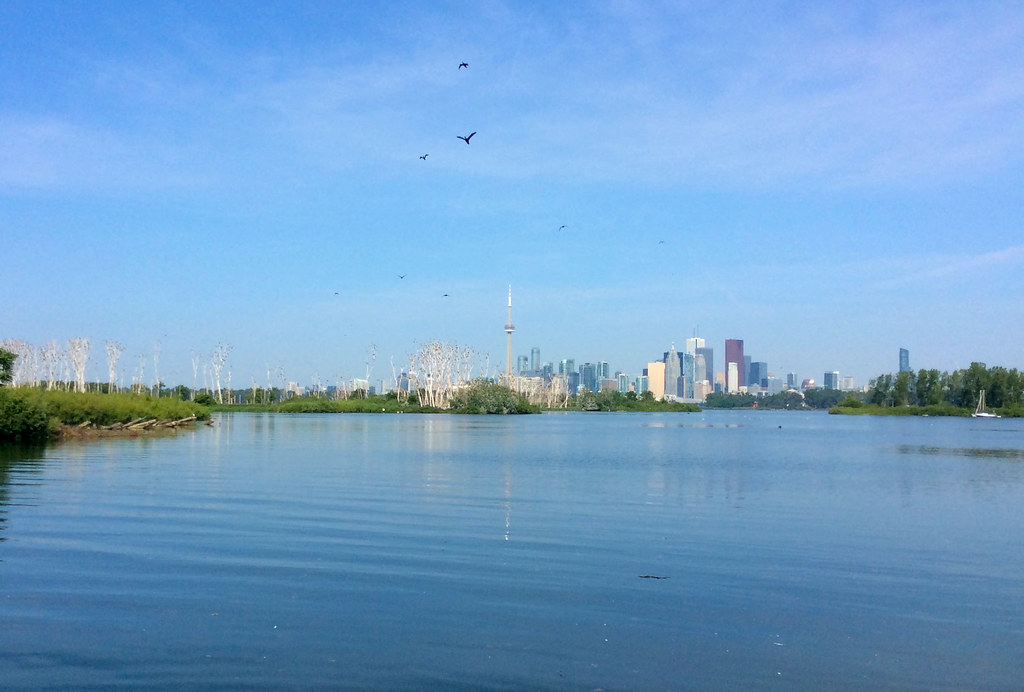 Breathwork for Stress Relief in Toronto: 3-Minute Techniques