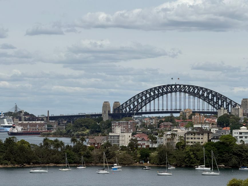 Sydney's Housing Crisis: What Officials, Experts, and Key Figures Are Saying