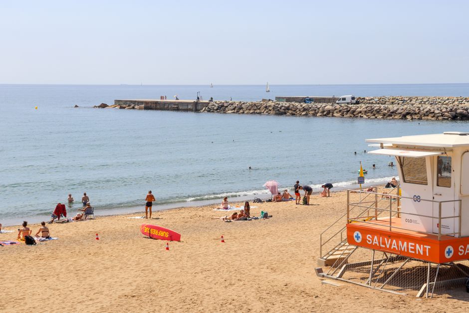 Barcelona Swimming Competitions: Week's Top Results