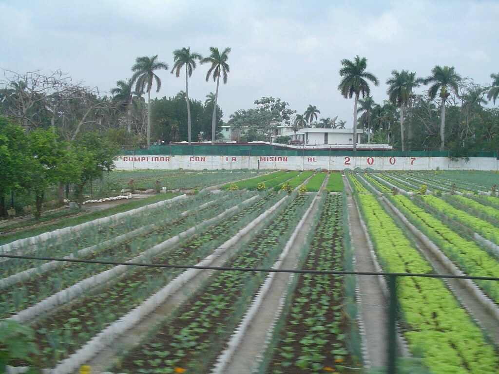 Top End Agriculture: Growing Food in the Tropics