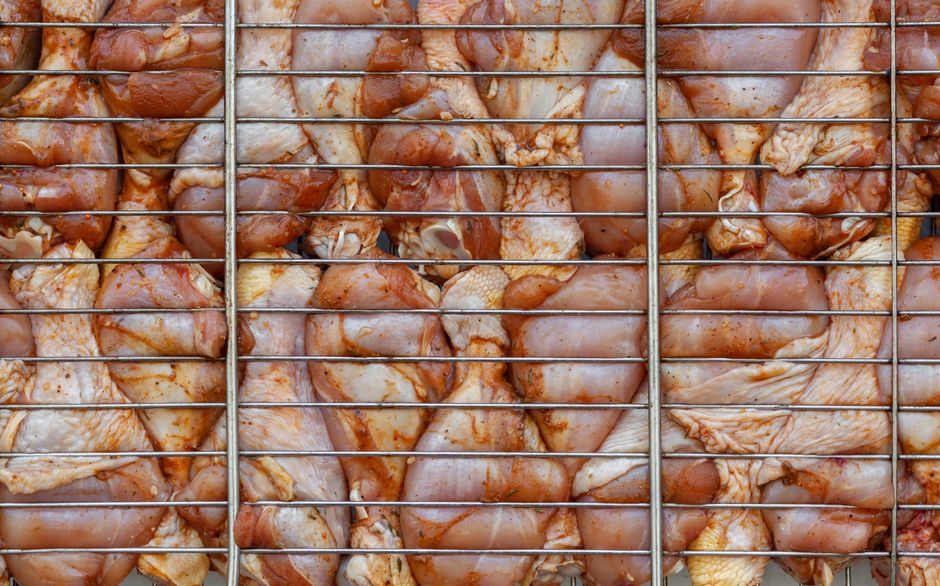 Beyond the Barbecue: Your Local Guide to Protein Sources That Aren't Meat