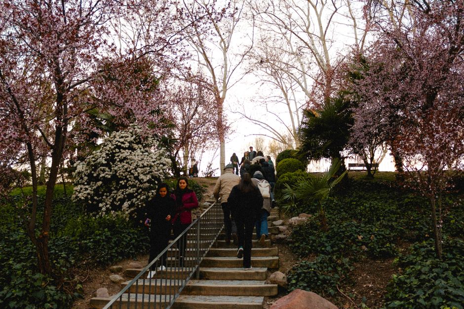 Malasaña's Forgotten Park Gets New Life: What Happened This Week in Madrid's Neighbourhoods