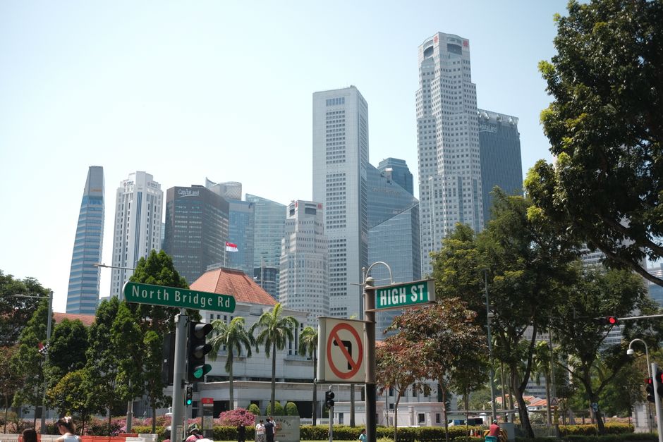 Singapore's Green Blueprint: How This City Stacks Up Against Global Sustainability Leaders