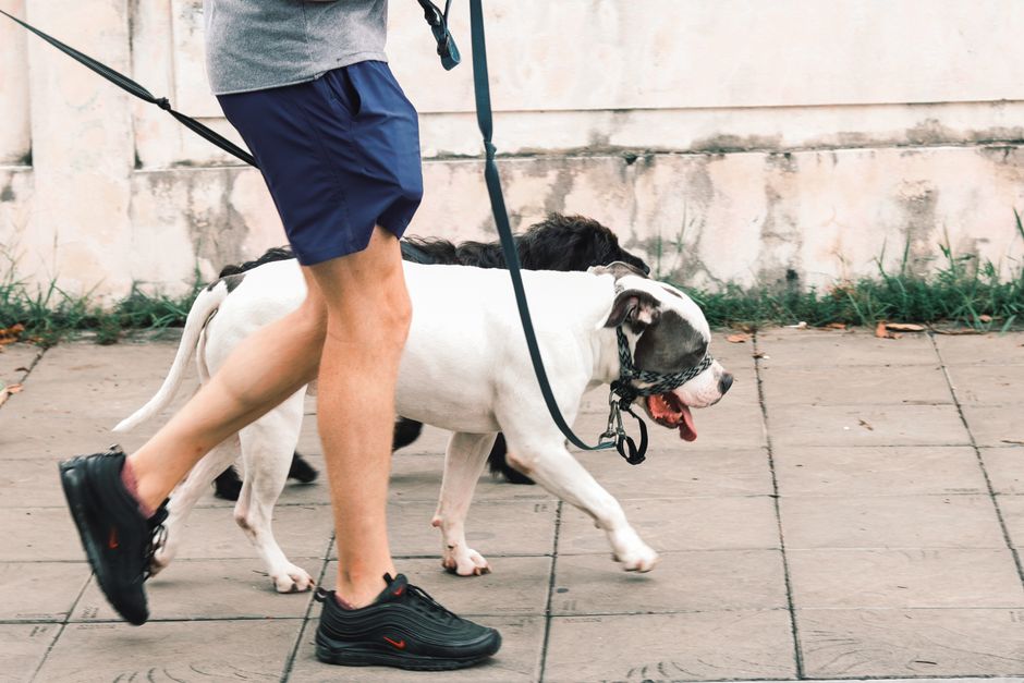 Walking Meditation: How to Turn Your Daily Walk into Mindfulness