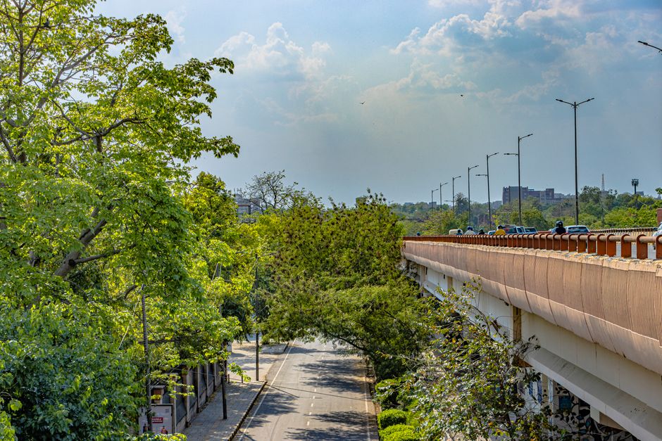 Delhi's Green Ambitions by the Numbers: What the Data Really Says About Our Sustainability Push