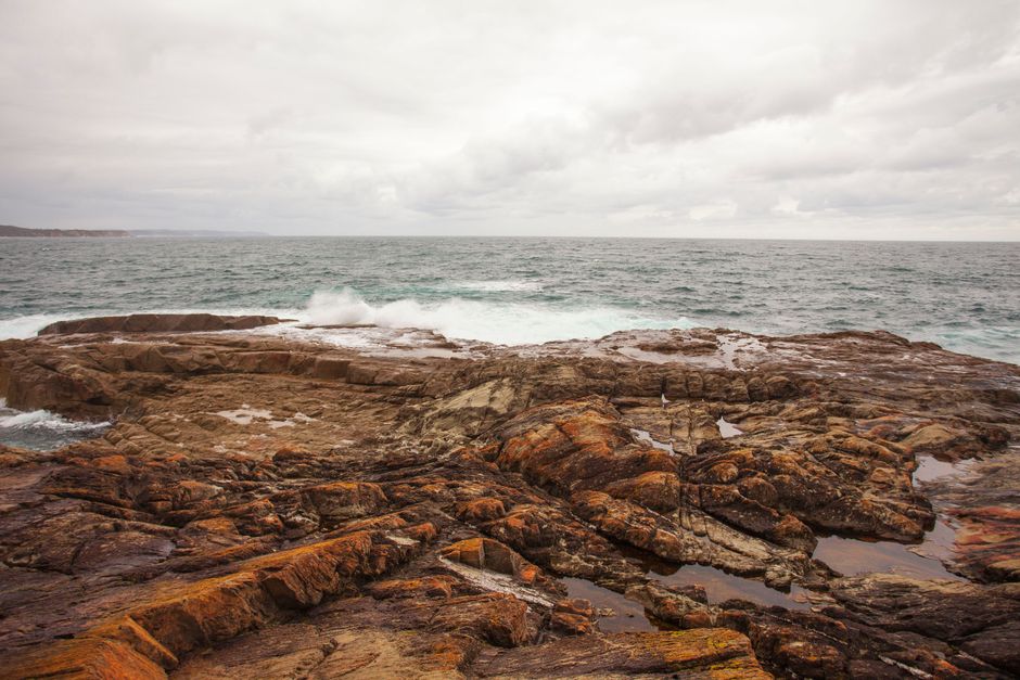 Outdoor Fitness Central Coast: Best Trails & Parks