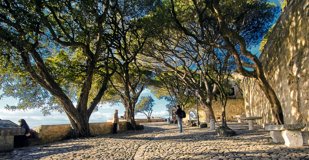 The Best Free Outdoor Gyms and Fitness Circuits in the Area