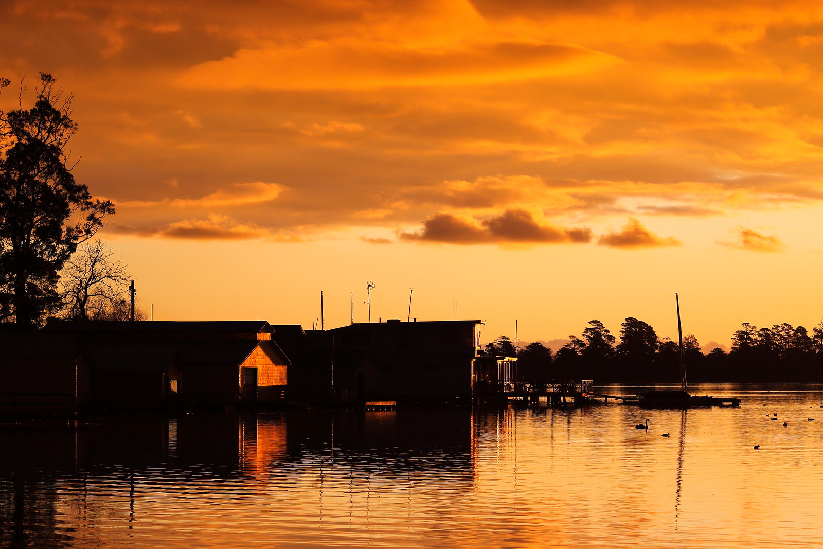 Federation University Ballarat: Guide to Higher Ed