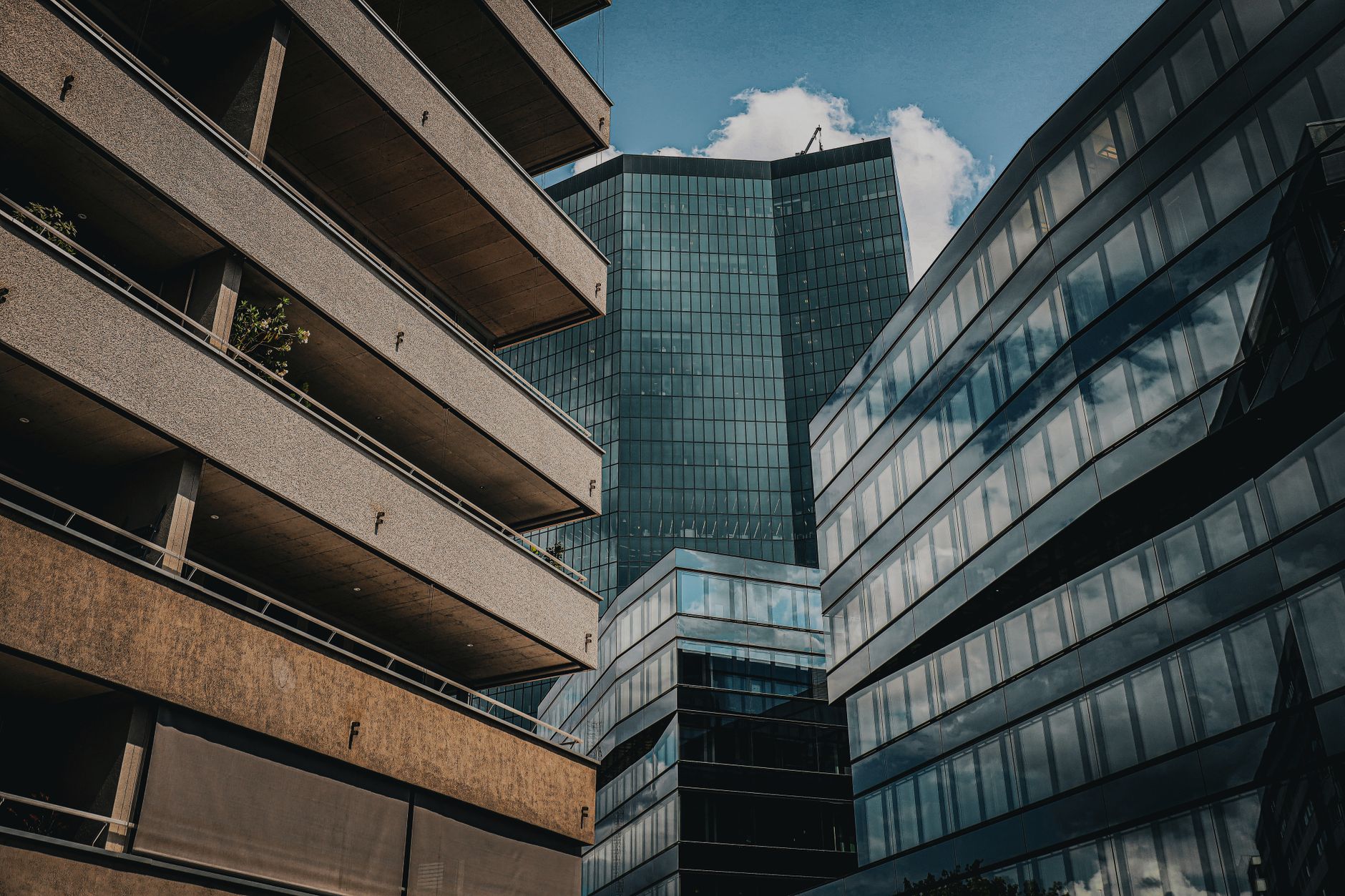 Zurich's Tech Elite Unveil Ambitious Product Roadmaps as Innovation Race Intensifies