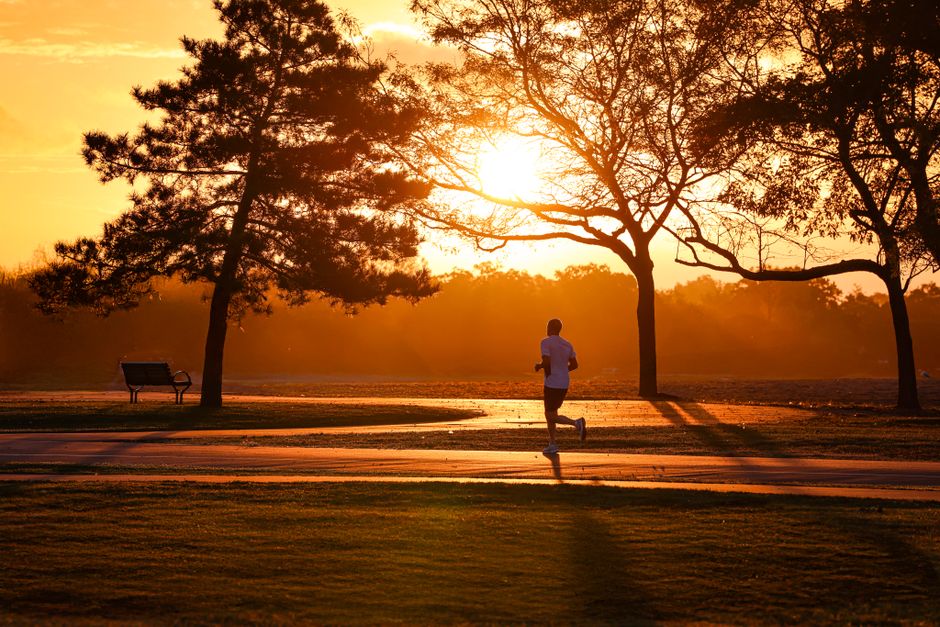 parkrun and the Best Places to Run on the Central Coast