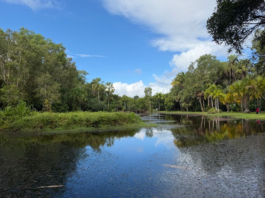 Top healthy cafes and restaurants in Cairns earning nutritionist approval