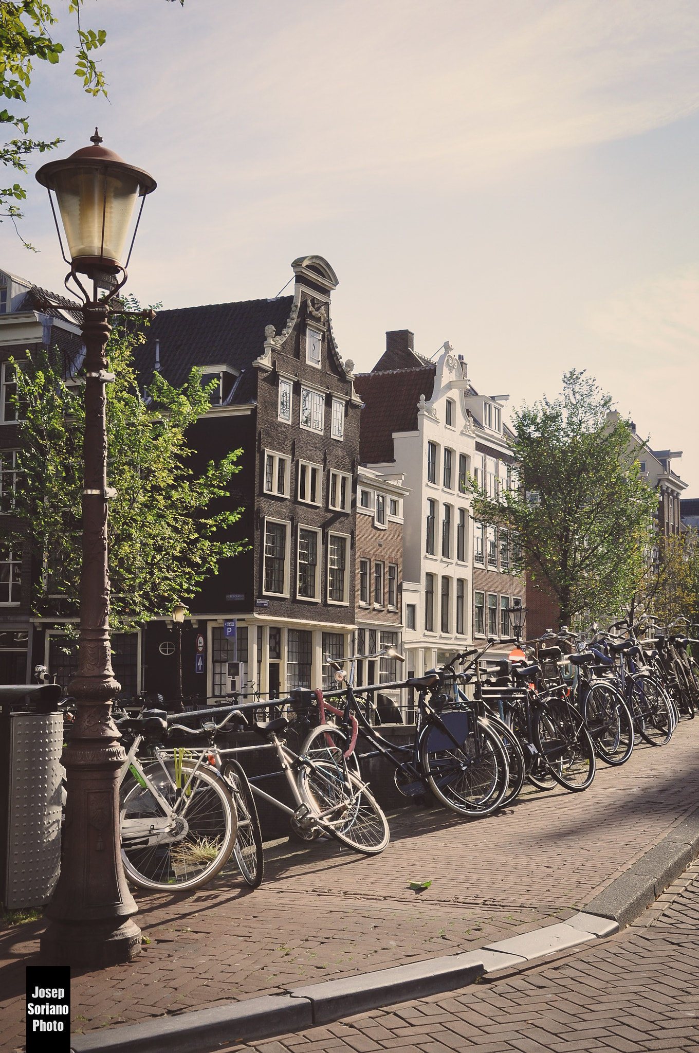 How to Actually Eat, Shop and Live in World Right Now: A Local's Survival Guide