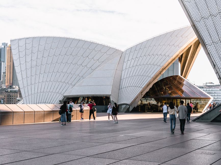 Best Galleries & Museums in Sydney: Complete Visitor Guide