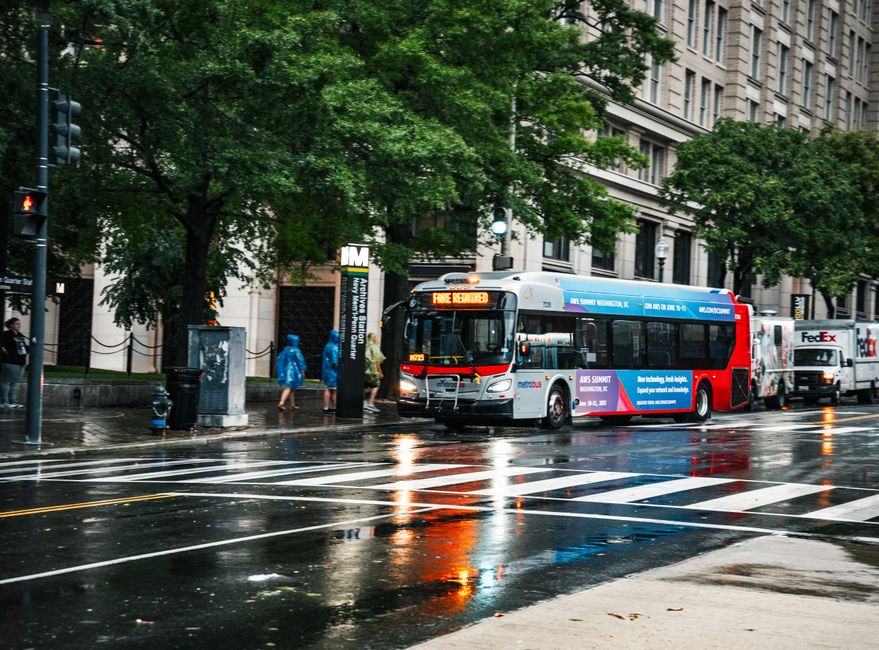 DC's Duplicate Image Problem: The Numbers Exposing a City's Digital Blind Spot
