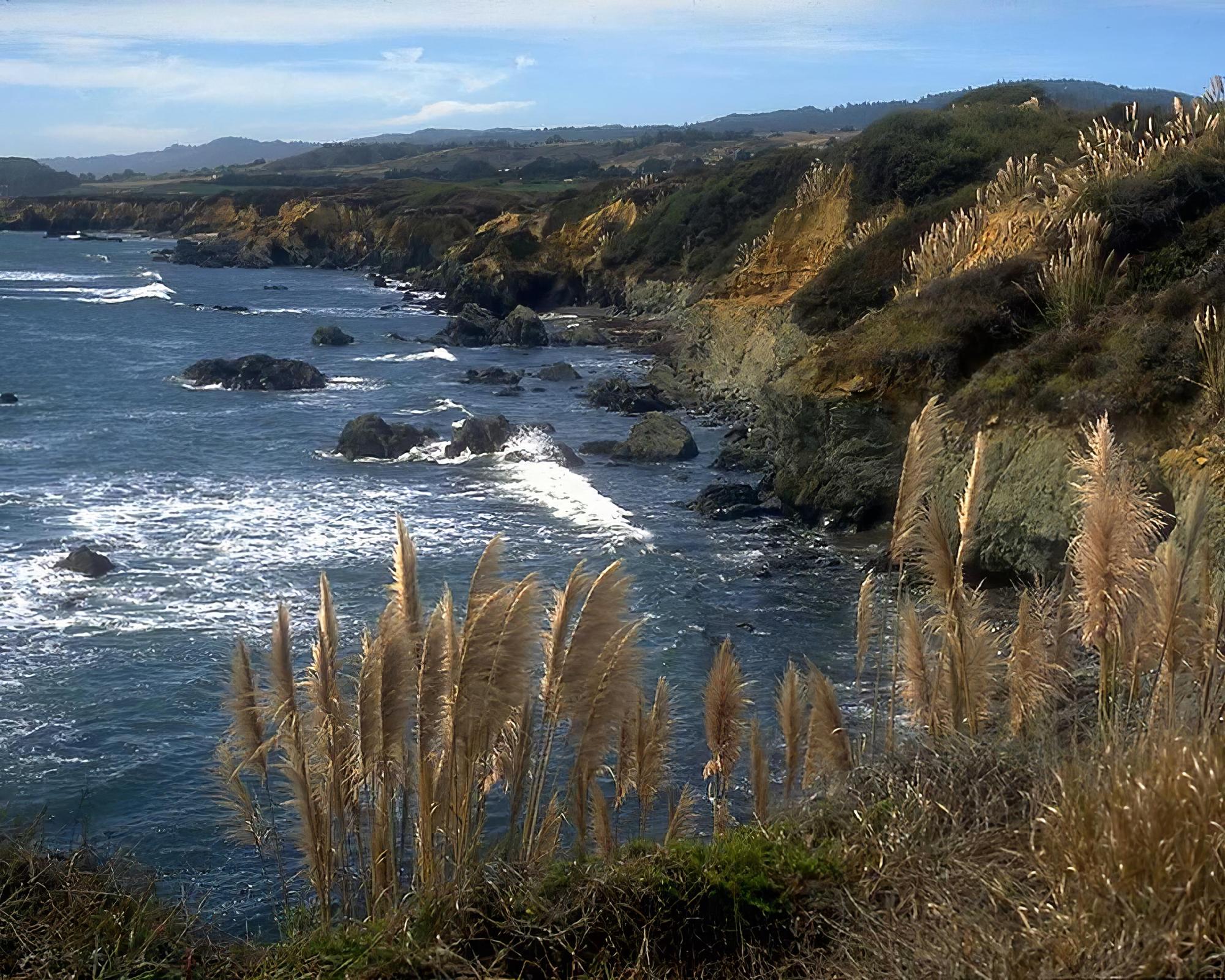 Central Coast's Natural Spaces Transform Local Mindfulness Practices Without Studio Costs