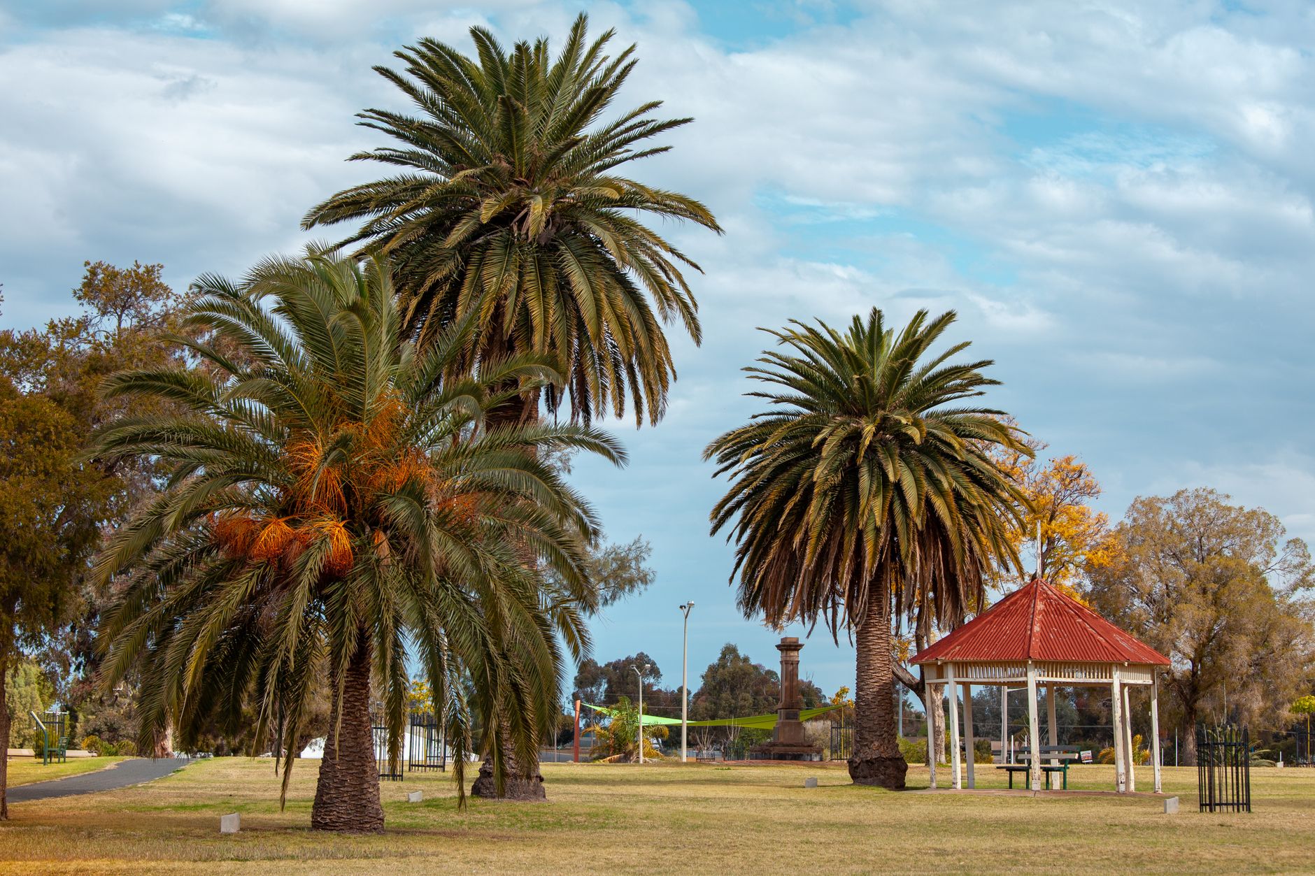 Brisbane Residents Discover Five Proven Stress-Relief Habits That Actually Work
