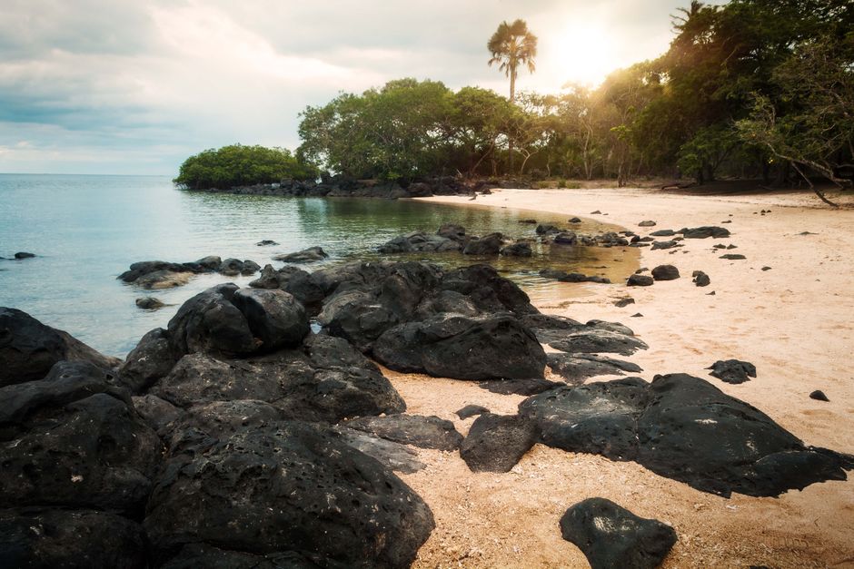 Saturday Morning, Free, Forever: Where to Find the Best Parkrun Near You in Darwin