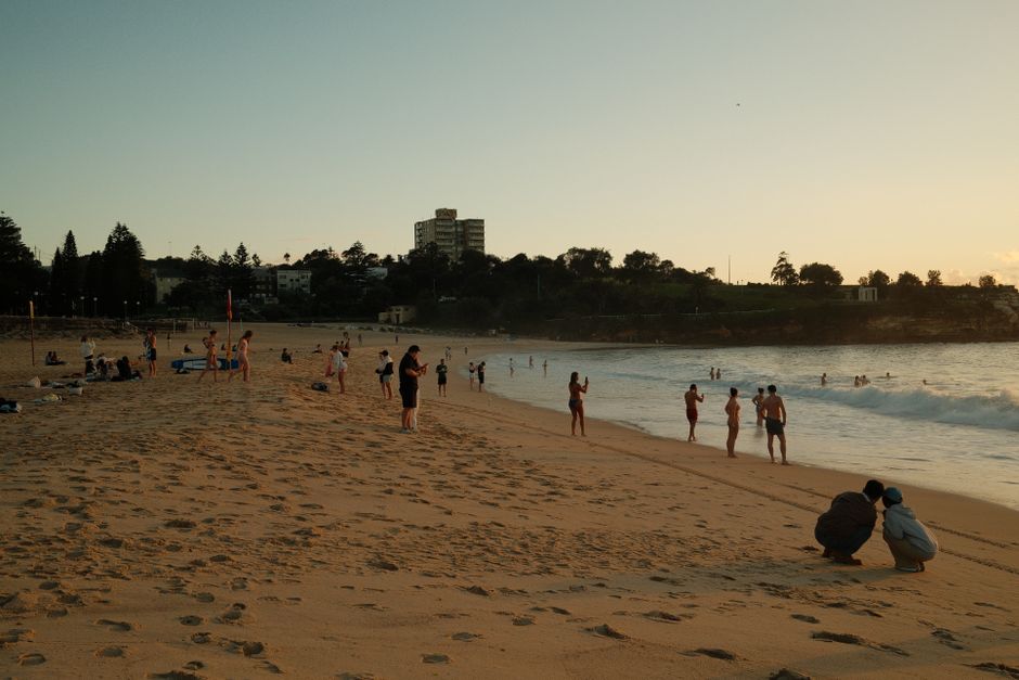 Things to Do in Sydney With Kids: Complete Local Guide