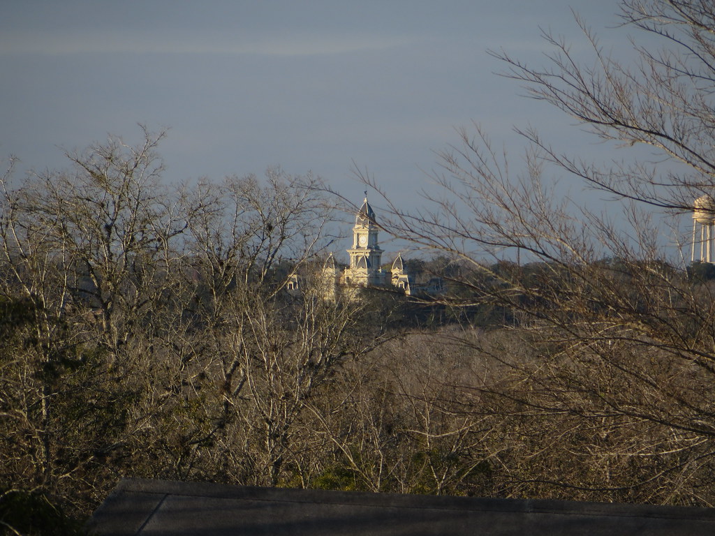 Dignowity Hill Delivers 7.9% Rental Yields, Outpacing San Antonio Suburbs