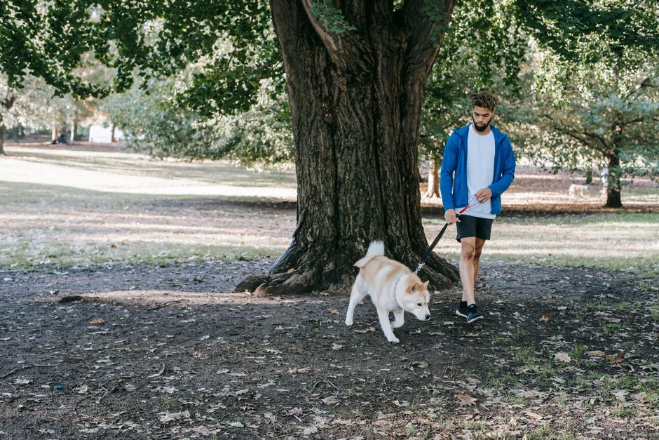 Outdoor Fitness Canberra: Free Parks & Walking Trails