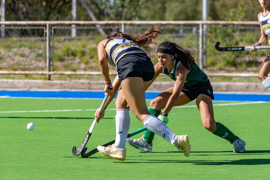 Women's Sport in Perth: Elite Teams, Local Leagues and How to Get Involved