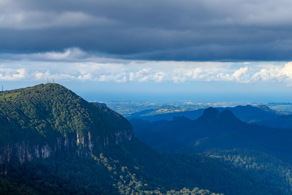 Gold Coast Hinterland: The Green Mountains Behind the Glitter Strip
