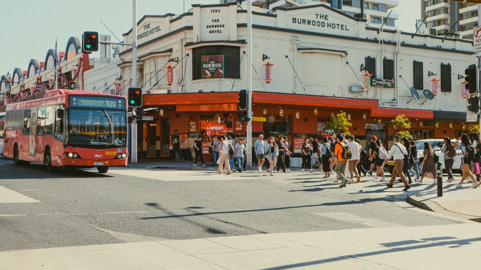Adelaide's Image Replacement Plans: What Officials, Experts, and Key Figures Are Saying