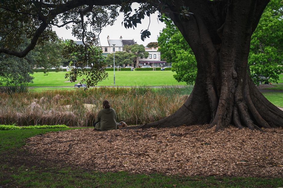Adelaide's Parks Transform Into Personal Meditation Spaces for Mental Wellness