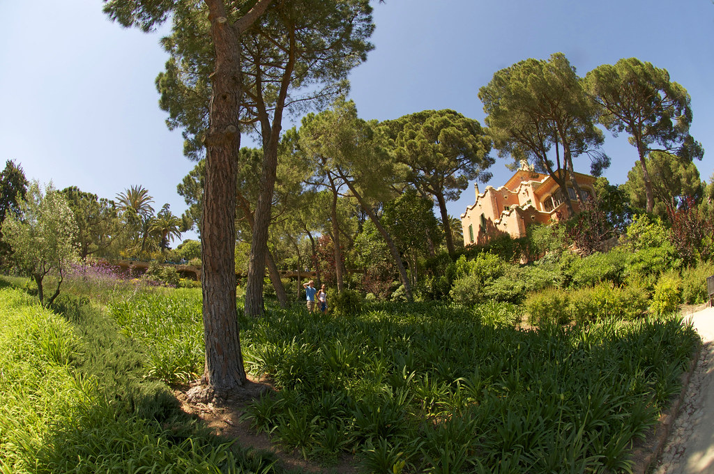 Barcelona Residents Cut Stress Using 5 Simple Science-Backed Techniques