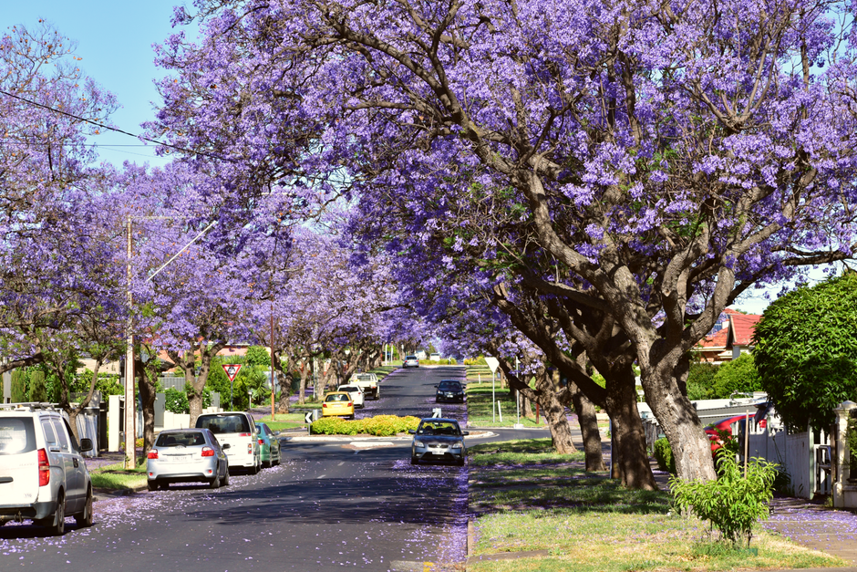 Parkside rising: the gentrifying pocket attracting young professionals to Adelaide's inner west