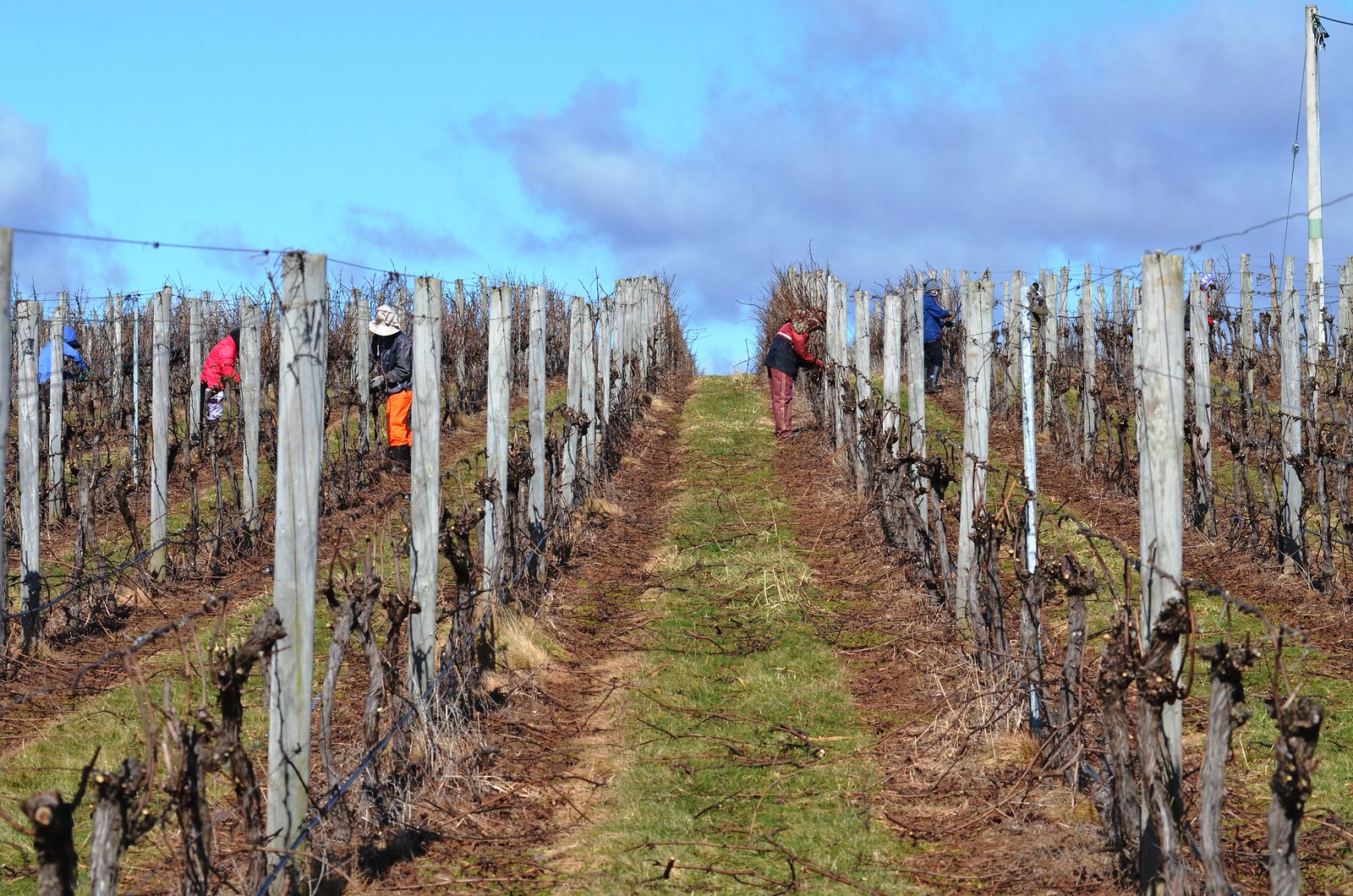 Tasmanian Island Sanctuary Saved by Community Support