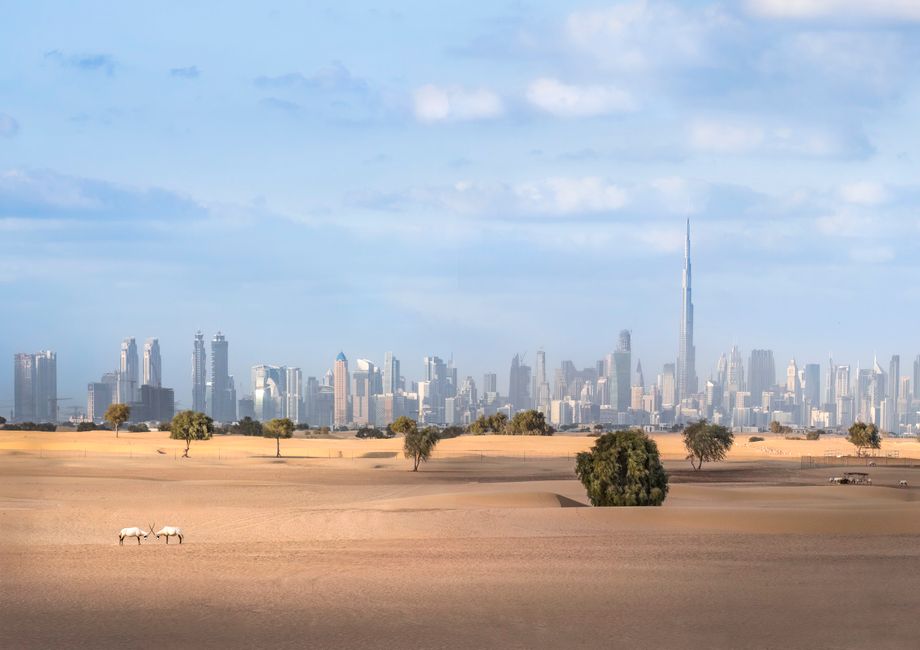 What the Research Actually Says About Mindfulness and Stress: The Science Behind Dubai's Wellness Boom