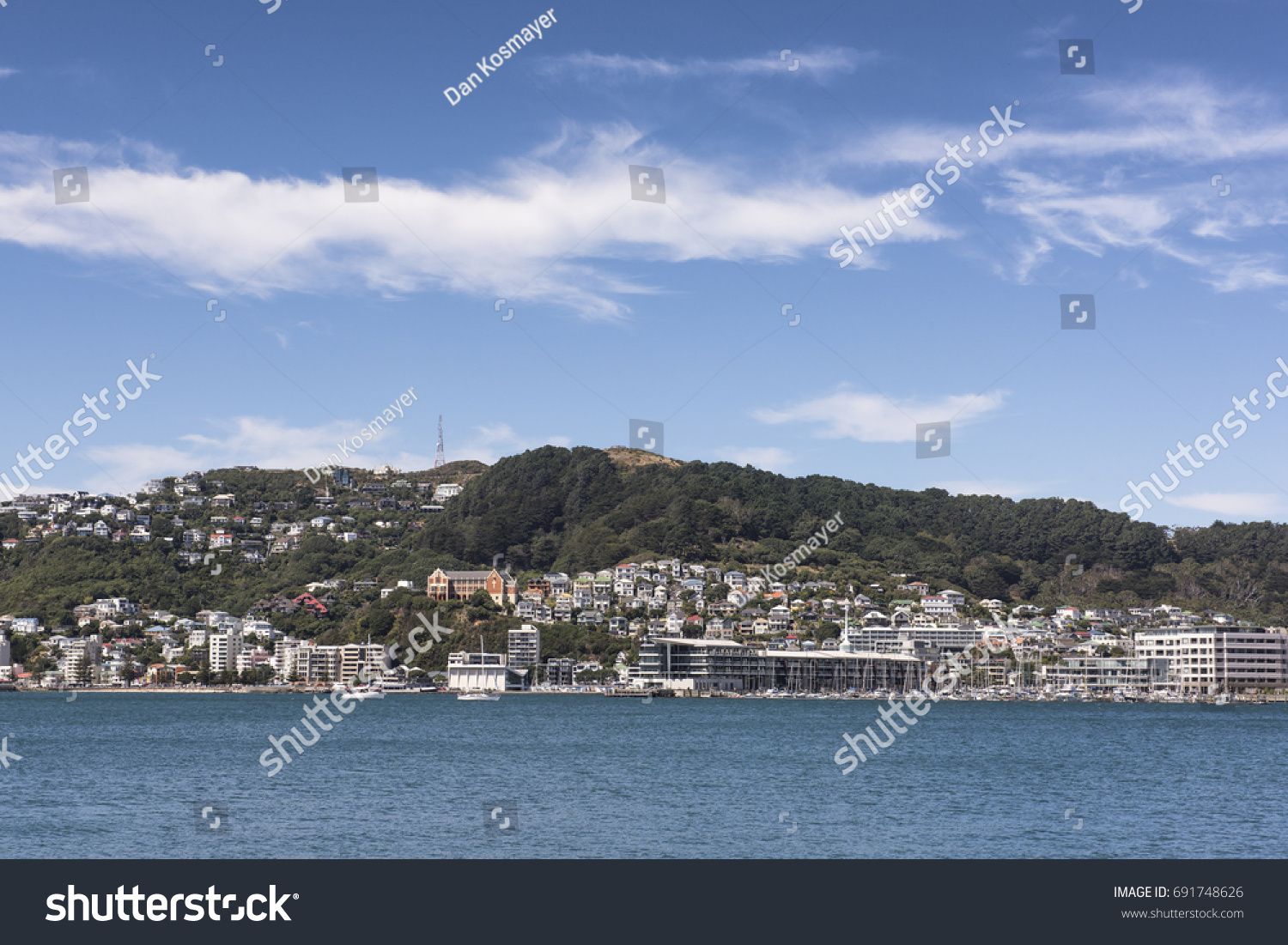 Wellington renters pay sharply more than regional counterparts nationwide