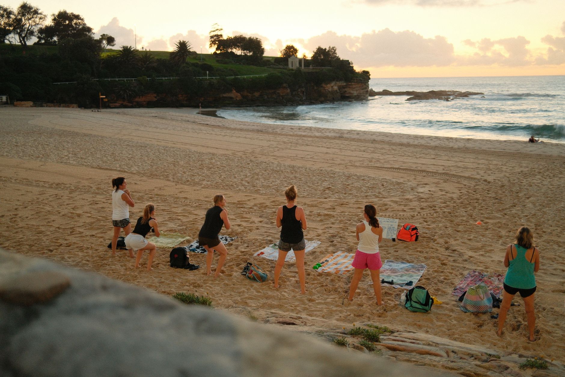 Four-legged fitness: Sydney's dog-friendly parks where exercise meets community