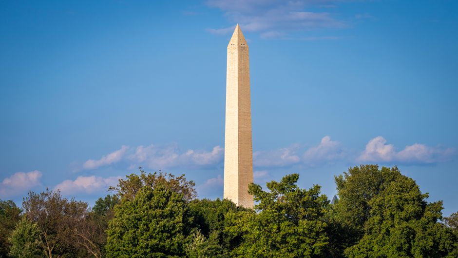 DC's Green Infrastructure Push Could Save Residents Thousands—Here's What's Actually Coming to Your Neighborhood