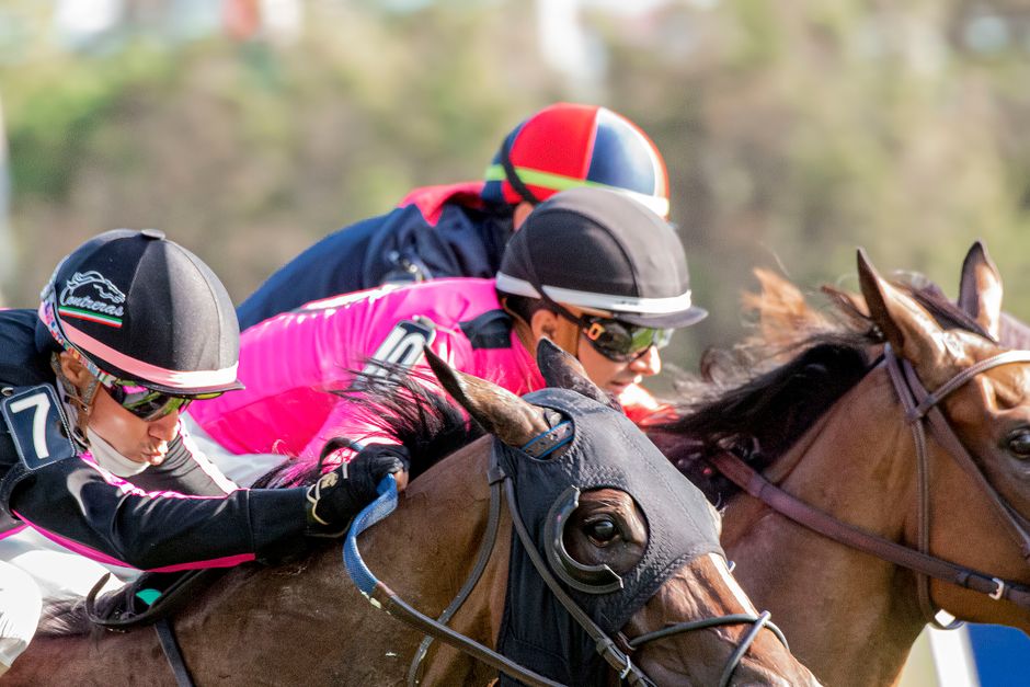 Toowoomba's Racing Carnival: The Darling Downs Thoroughbred Tradition