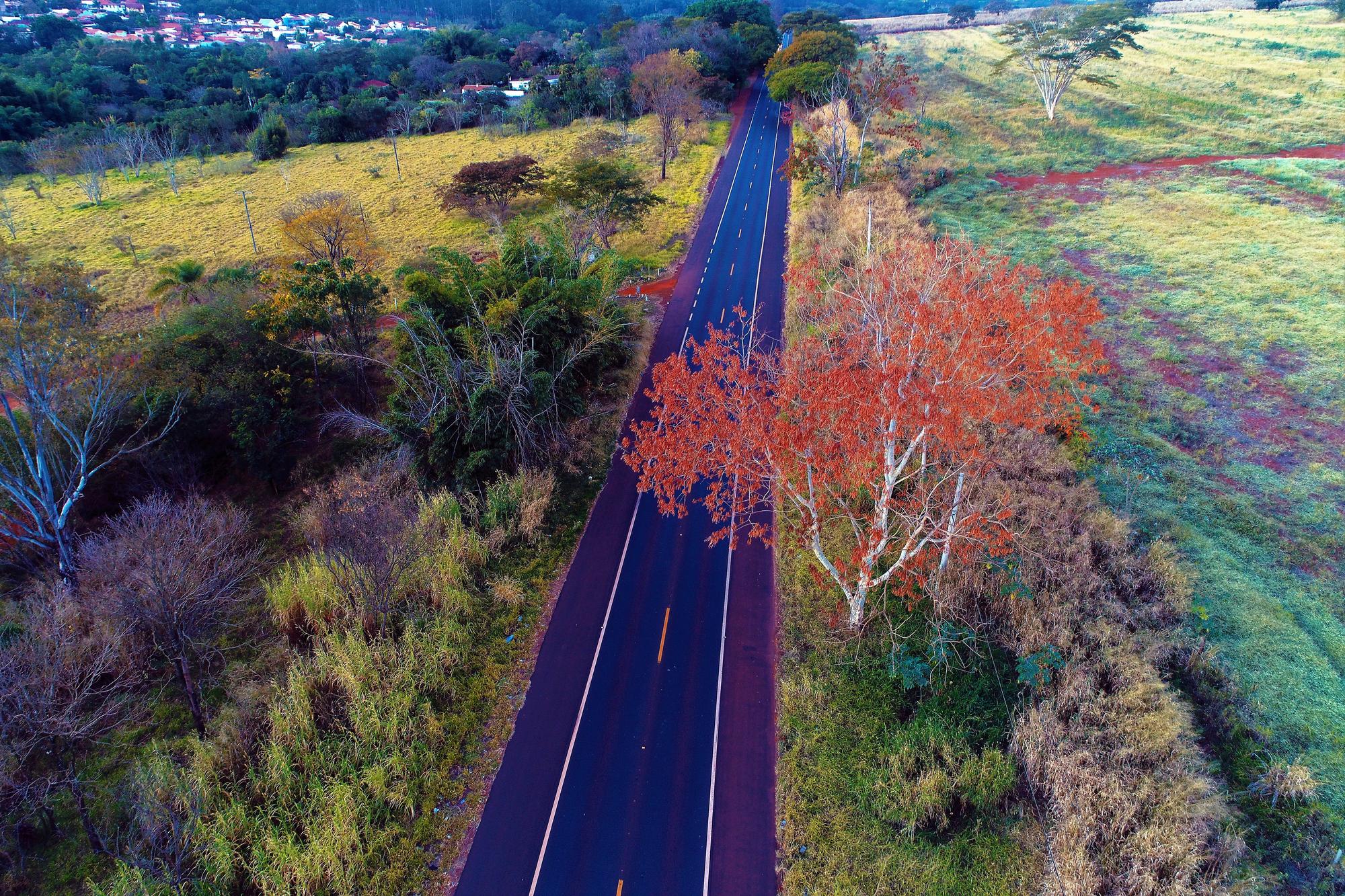 Getting Around Toowoomba: Roads, Public Transport and Connections